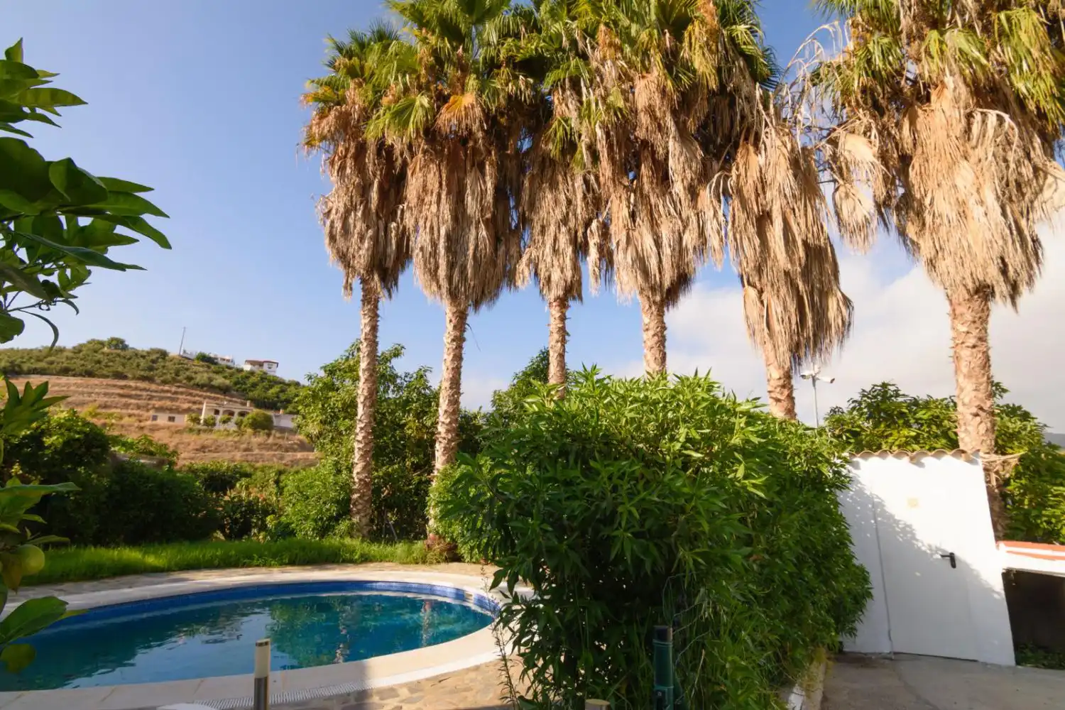 Schwimmbecken von Country house zum Verkauf in Salobreña mit Terrasse und Abstellraum