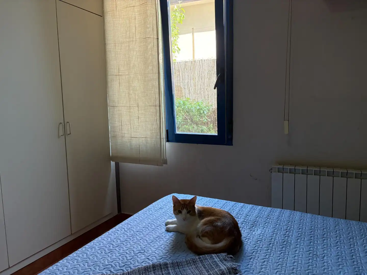 Dormitori de Casa o xalet en venda en Madrid amb Aire condicionat, Calefacció i Jardí privat