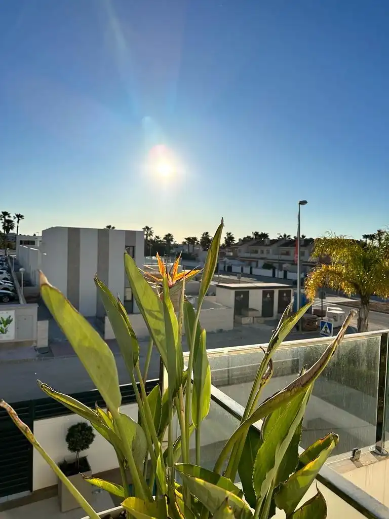 Chalet con piscina en venta en Rojales, imagen 17