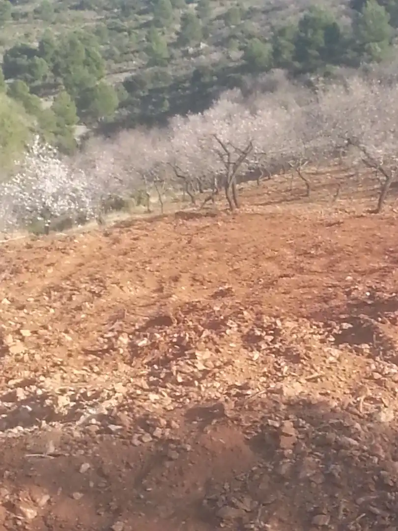 Rustikales Grundstück zum Verkauf in Motril  ciudad, imagen 6