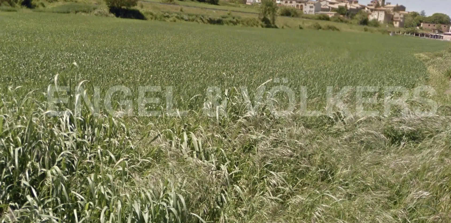 Industrial land for sale in Casserres