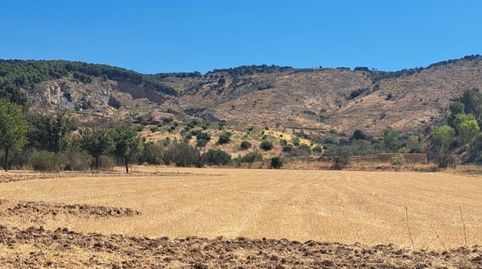 REF:160925977 SE VENDE PARCELA RUSTICA EN ANTEQUERA (MÁLAGA), imagen 2