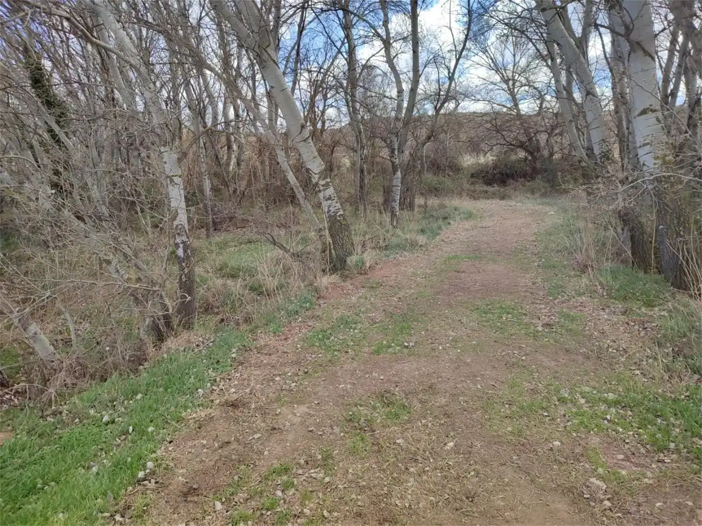 Land for sale in Botorrita
