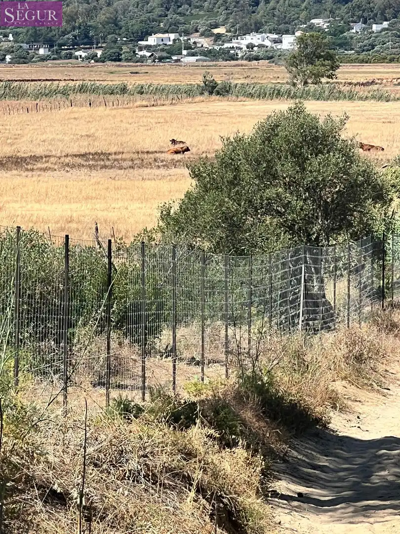 Terreno rustico in vendita a Barbate ciudad, imagen 5