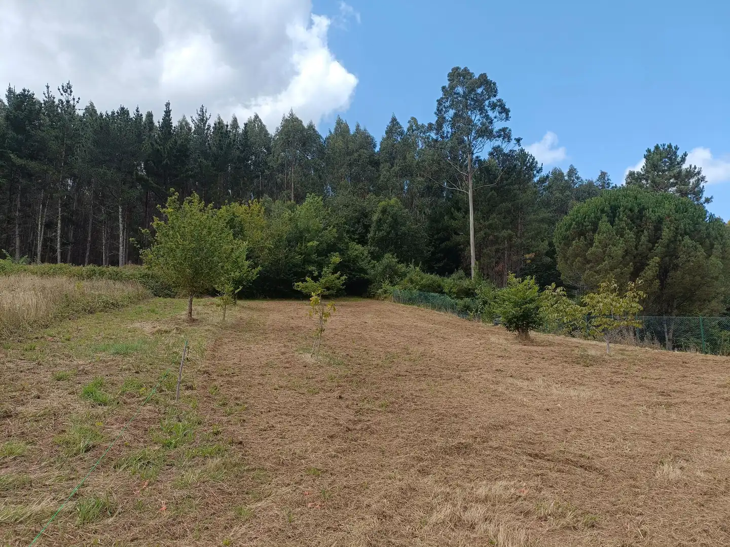 Wohnbaugrundstück zum Verkauf in Oza dos Ríos, imagen 7