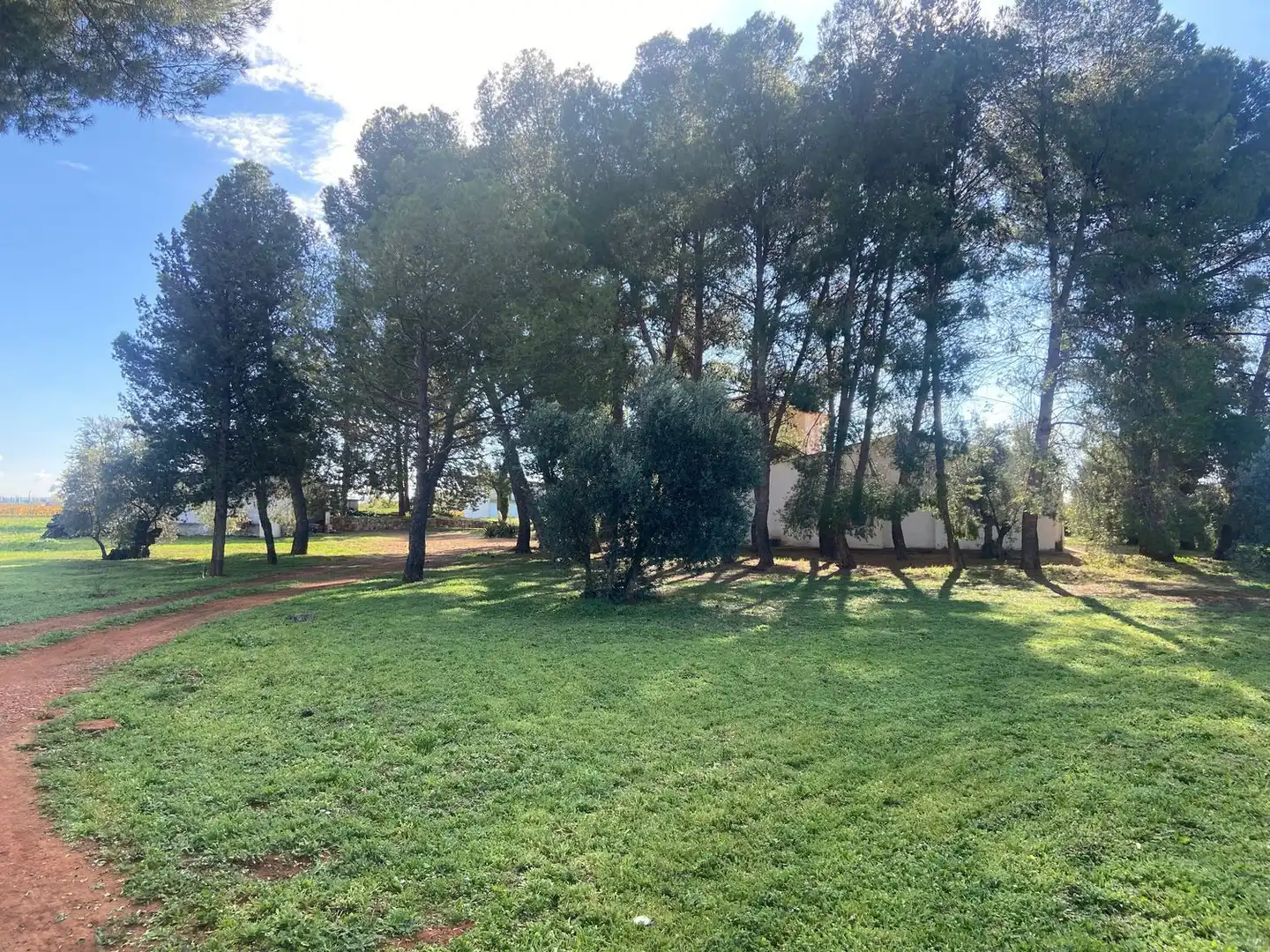 Casa o chalet en venta en Almagro con Aire acondicionado, Calefacción y Jardín privado