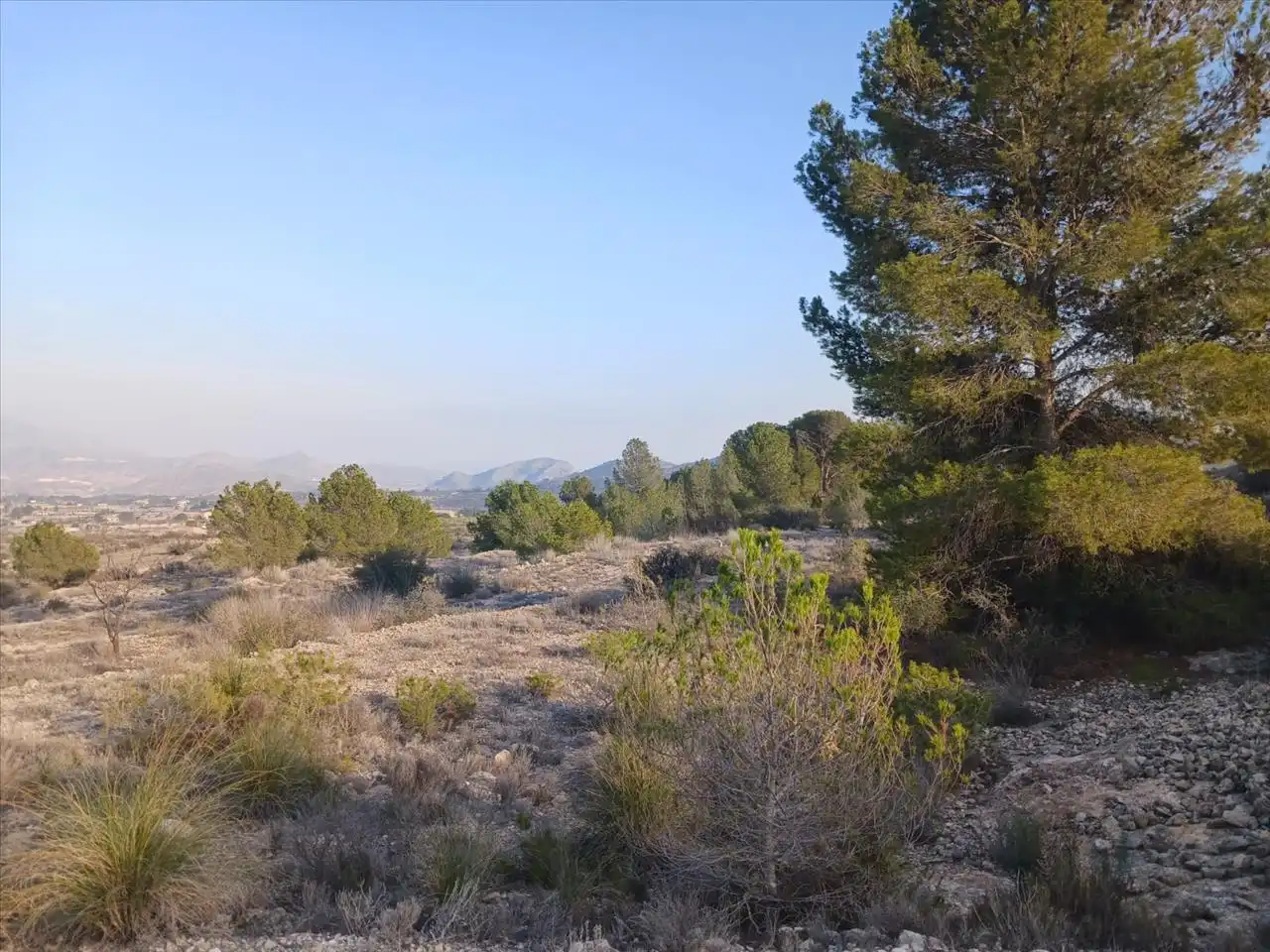 Residential land for sale in Proc. Simplificado, imagen 4