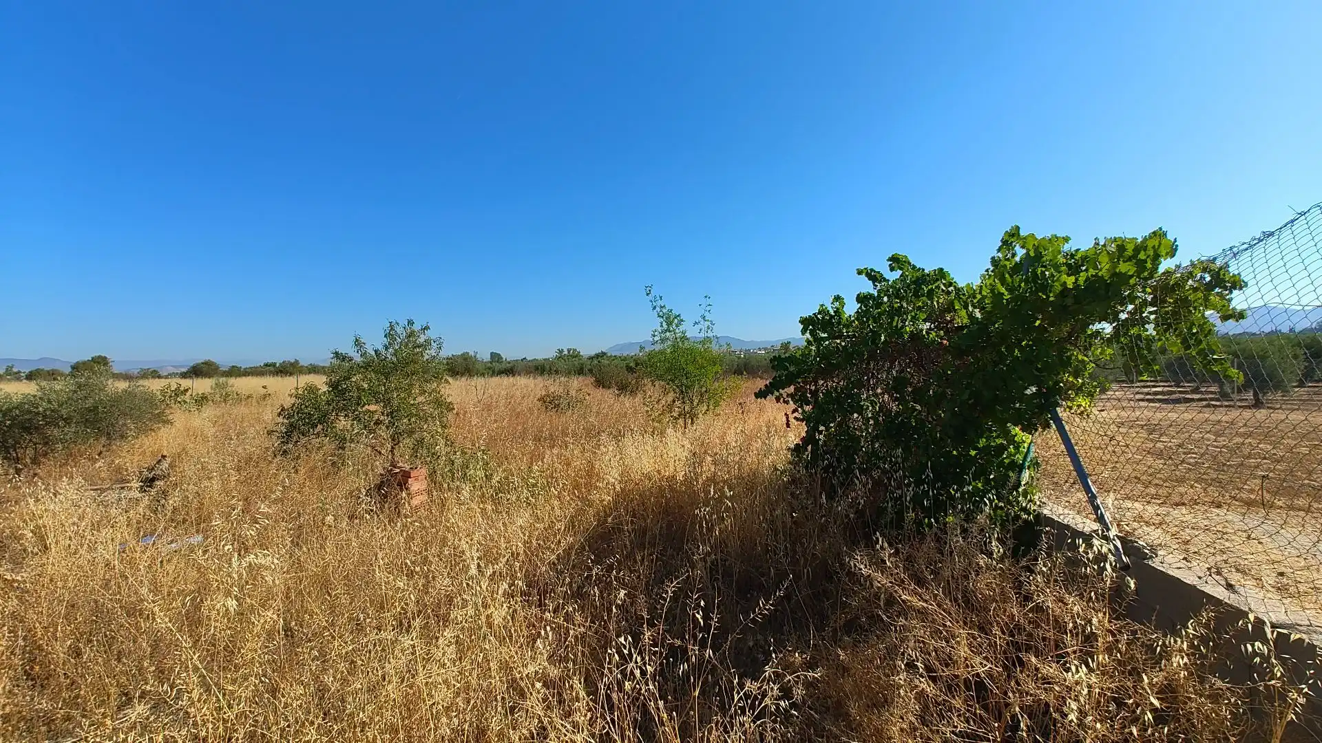 Terreno rustico in vendita a Aljancira, imagen 41