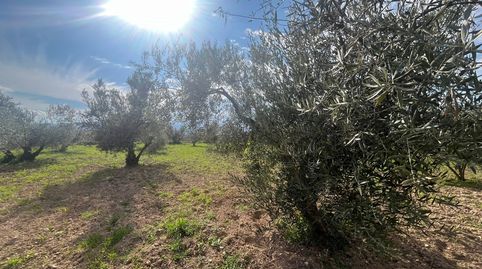 Foto 4 von Grundstücke zum Verkauf in Calle San Jose, 30, Dúrcal, Granada
