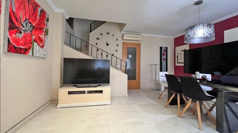 PRECIOSO ADOSADO CERCA DEL MAR, imatge 3