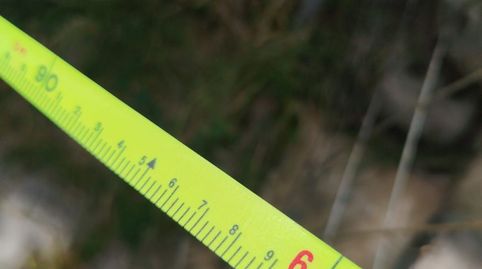 Foto 5 de Residencial en venta en Cl Les Moreres, Foios, Valencia