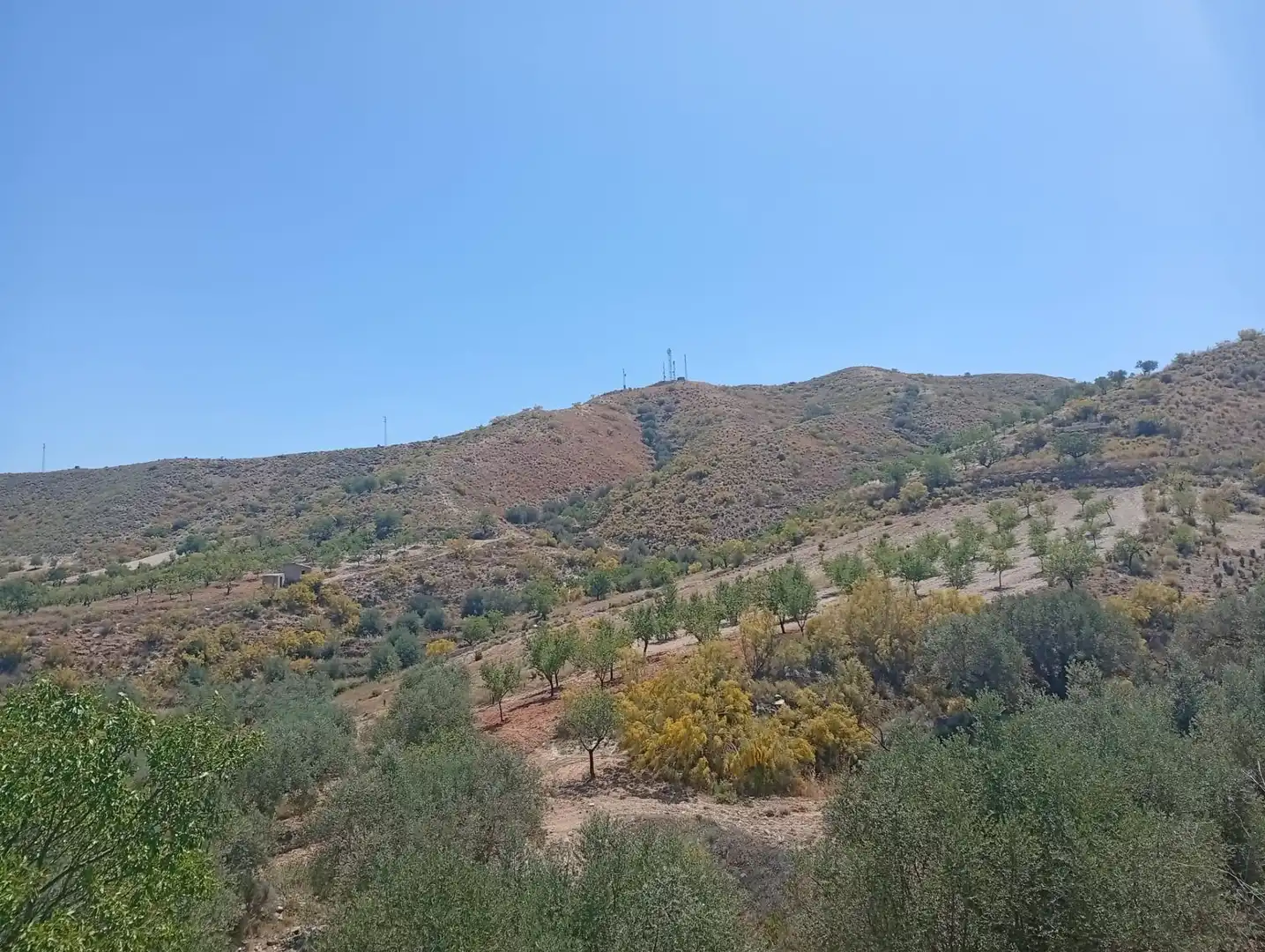 Rural land for sale in Lubrín, imagen 11