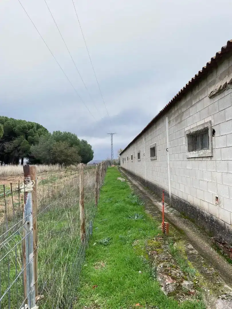 Vista exterior de Finca rústica en venta en Olmedillo de Roa