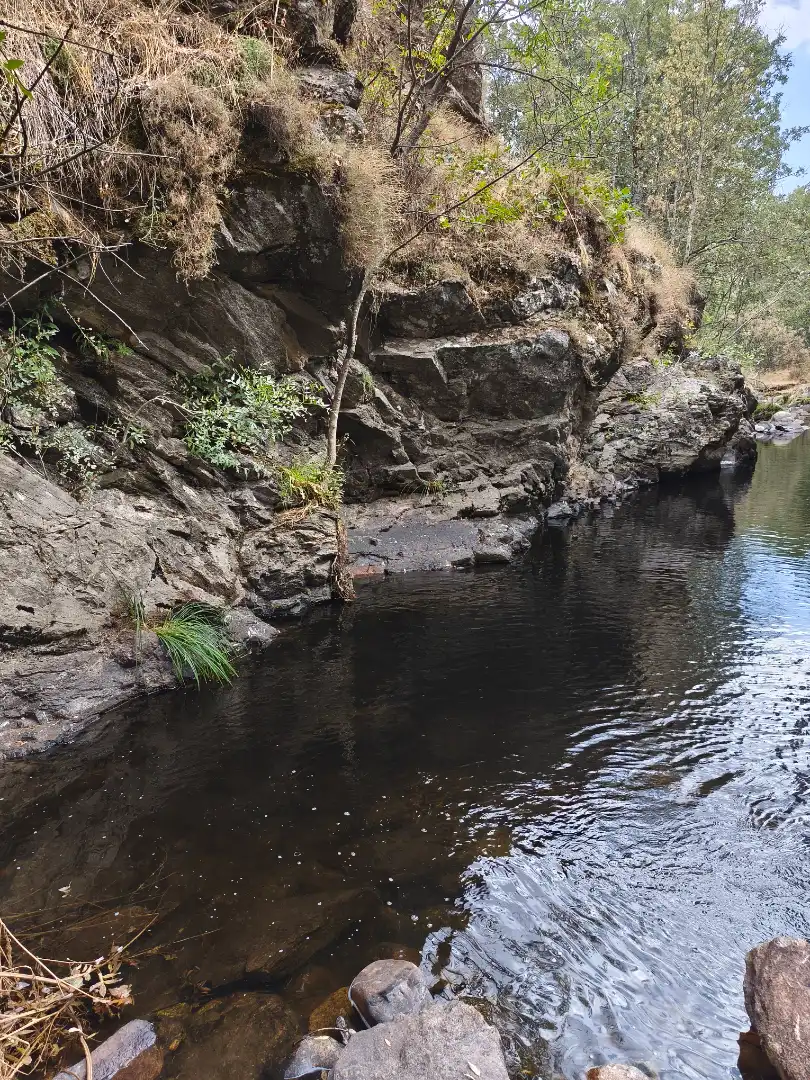 Piscina de Terreno en venta en Piñuécar-Gandullas