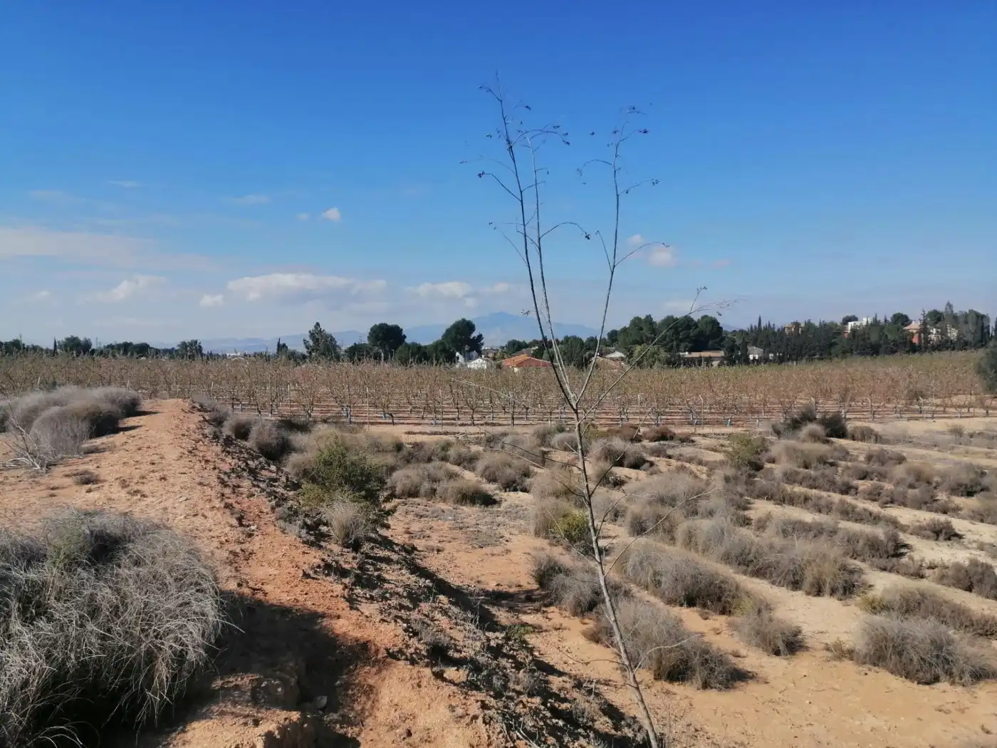 Terreno residenziale in vendita a Casco Urbano, imagen 18