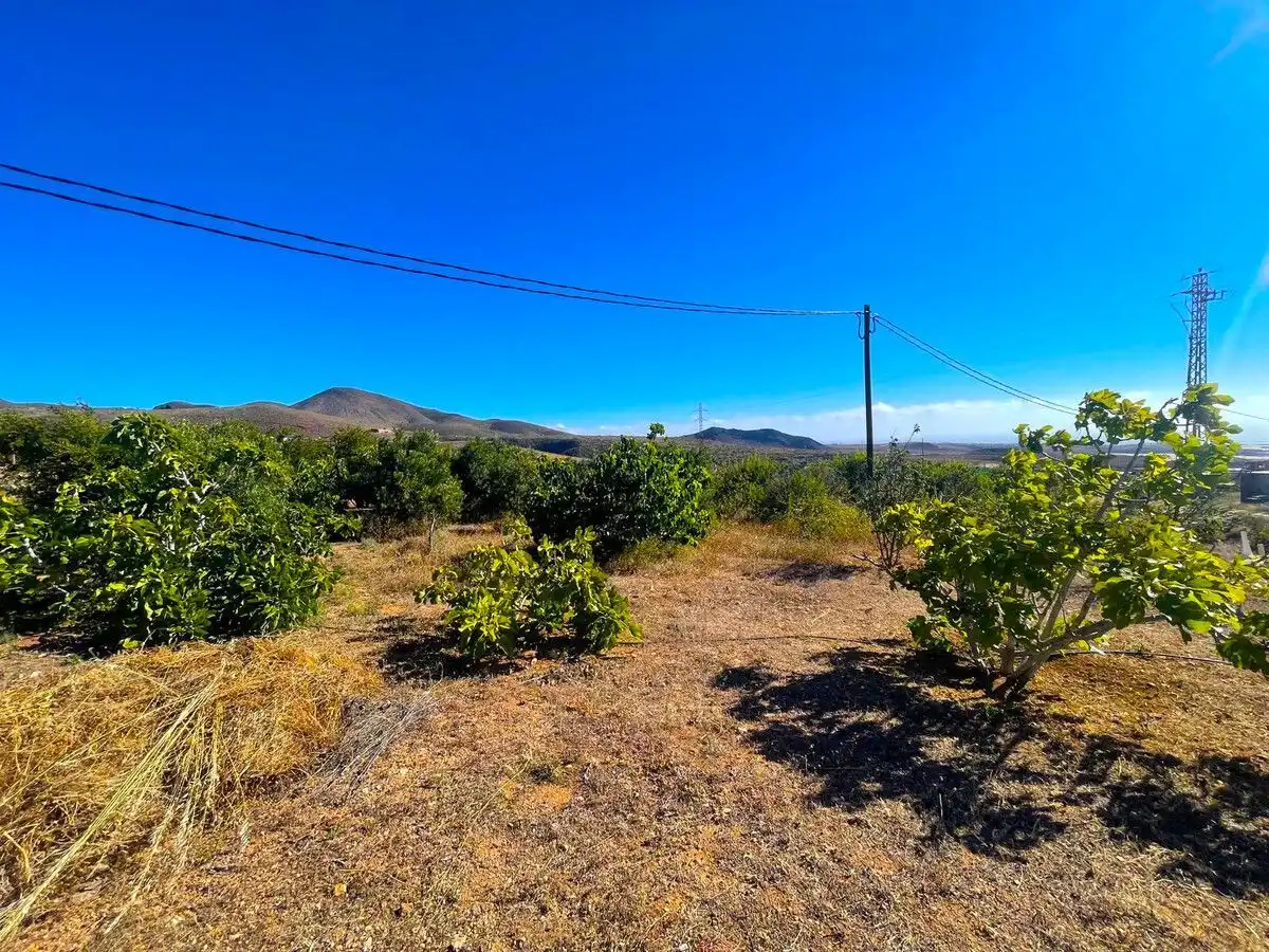 Land for sale in Ingenio