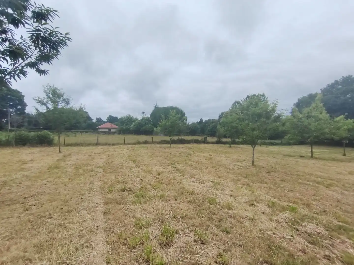 Residential for sale in Curtis
