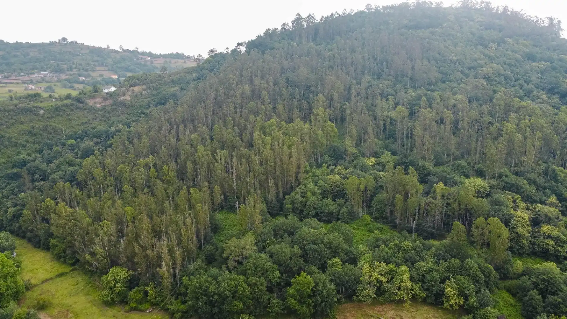 Casa o xalet en venda en Oviedo  amb Calefacció, Jardí privat i Terrassa