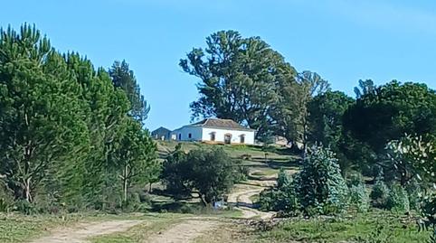 Foto 2 de Finca rústica en venda a Almonte ciudad, Almonte
