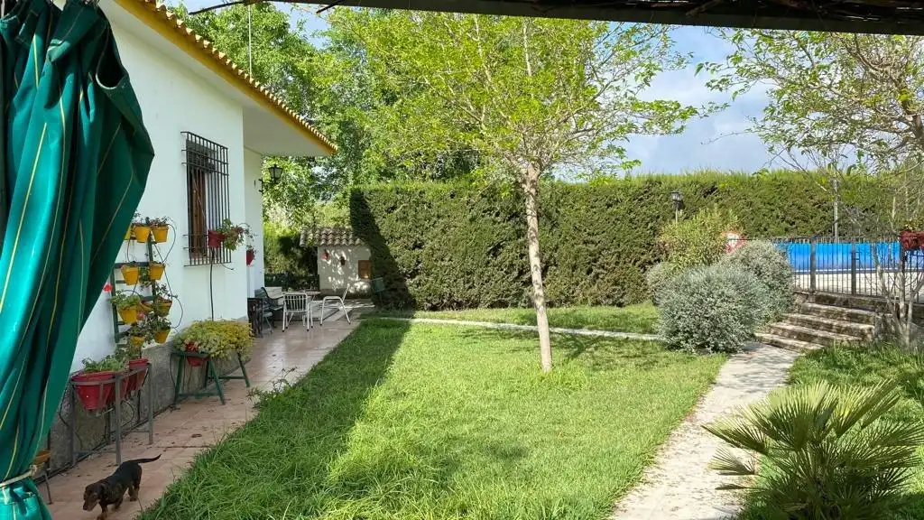 Jardín de Finca rústica en venta en Baena con Jardín privado, Terraza y Piscina