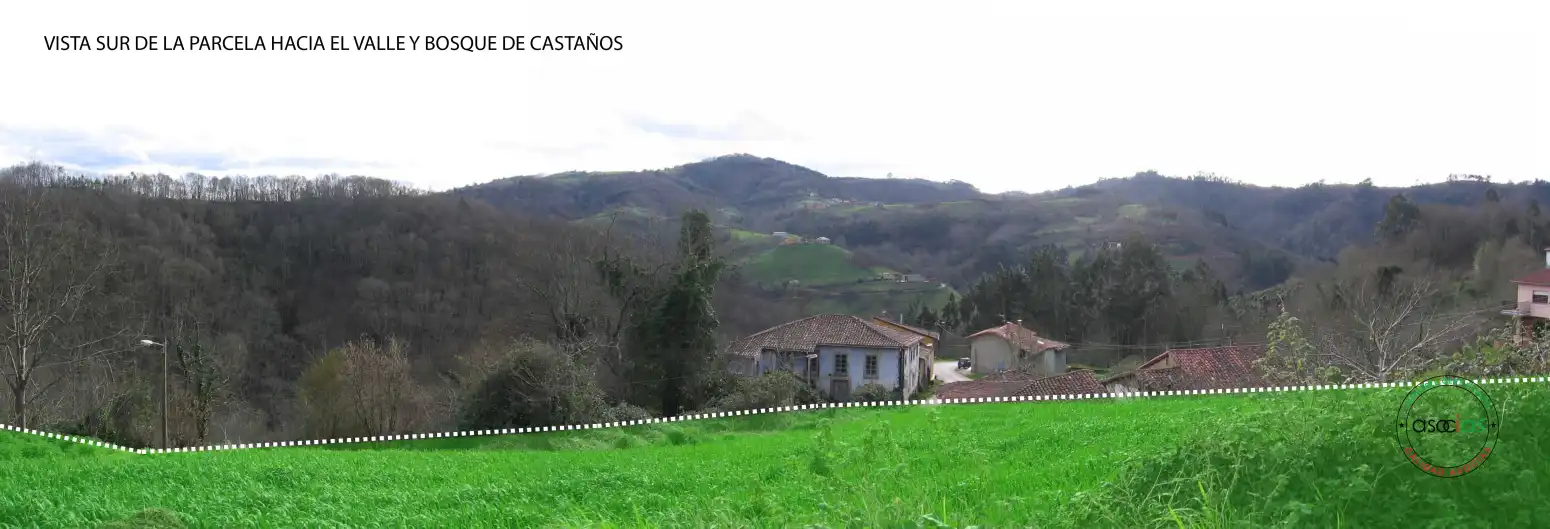 Terreno rustico in vendita a Cabranes - NIAO, imagen 5