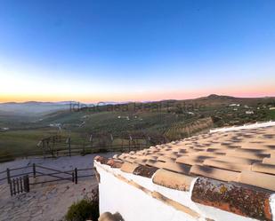 Vista exterior de Finca rústica de lloguer en Antequera amb Jardí privat, Terrassa i Moblat