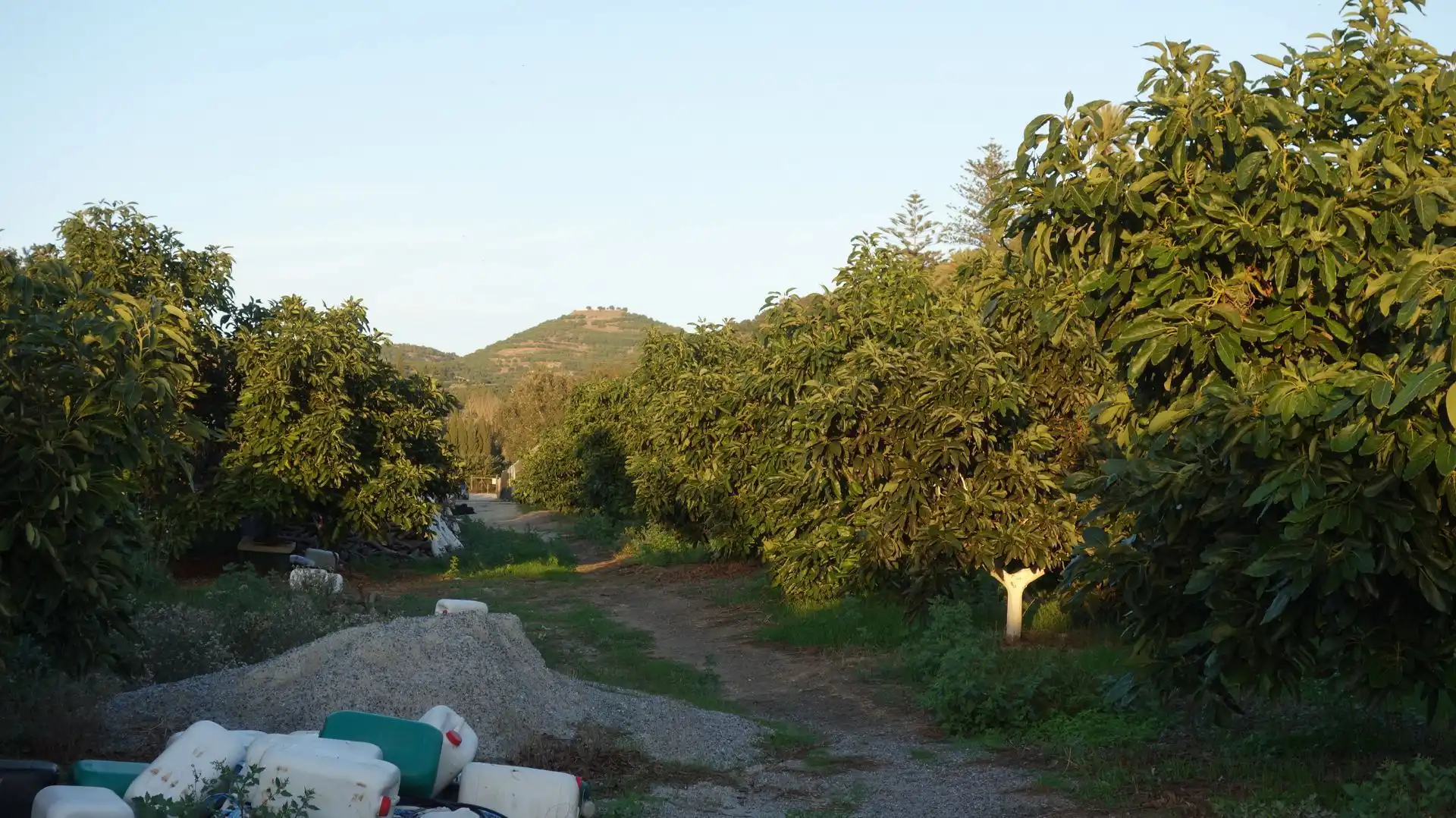 Casa rústica en venda a Motril  ciudad, imagen 12