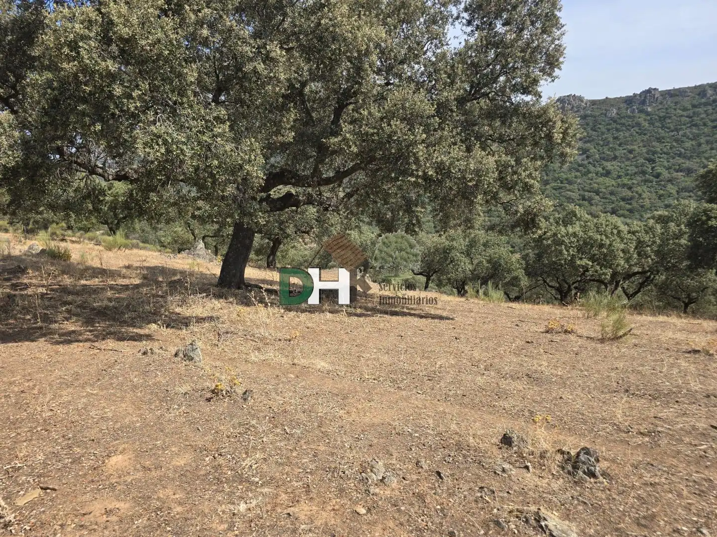 Terreni e lotti in vendita a Montesol - Mejostilla, imagen 6