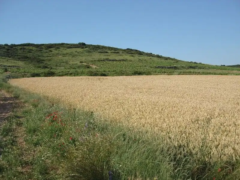Terreny rústic en venda a Villamediana de Iregua