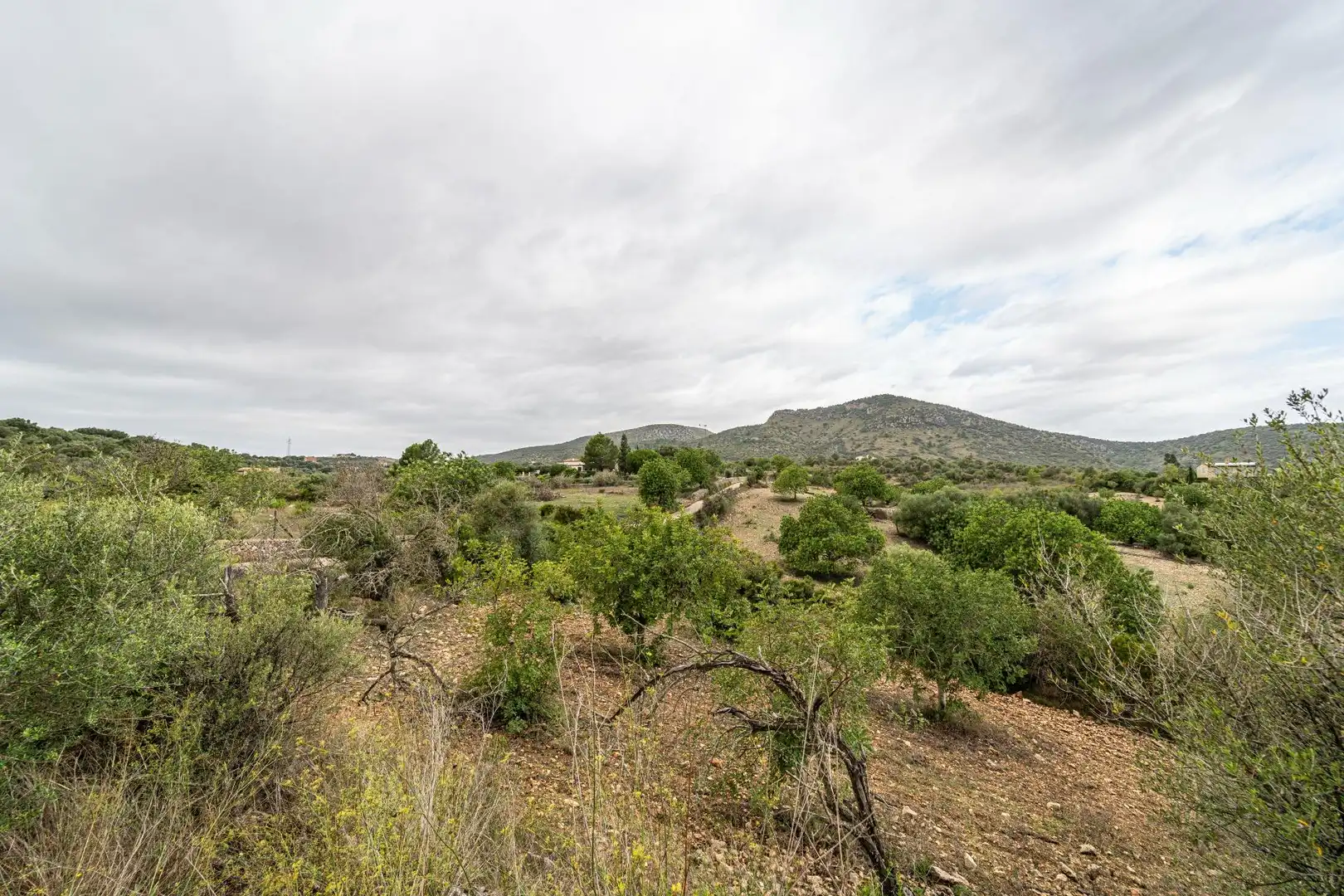 Casa amb terrassa en venda a Sant Llorenç des Cardassar, imagen 12