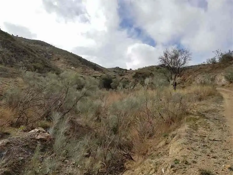 Grundstücke zum Verkauf in Albánchez