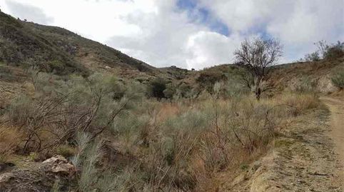 Foto 5 von Grundstücke zum Verkauf in Albánchez, Almería
