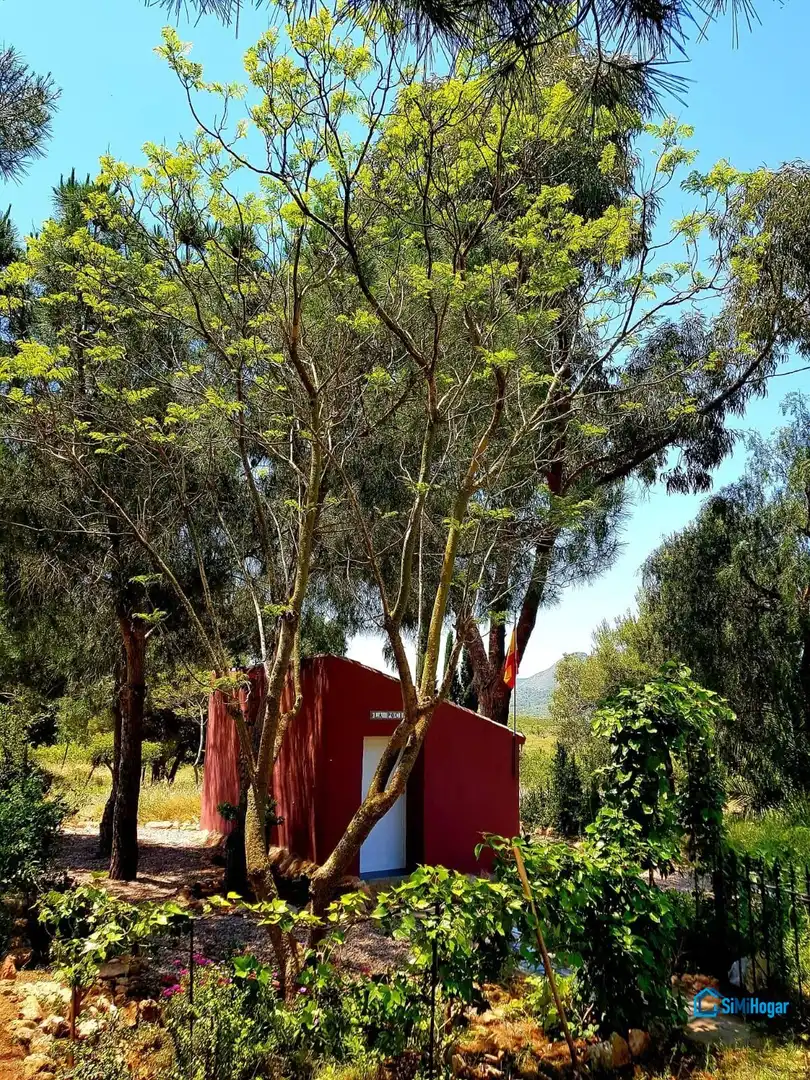 Casa con giardino in vendita a Camino MOJON-LAS PALAS, imagen 25
