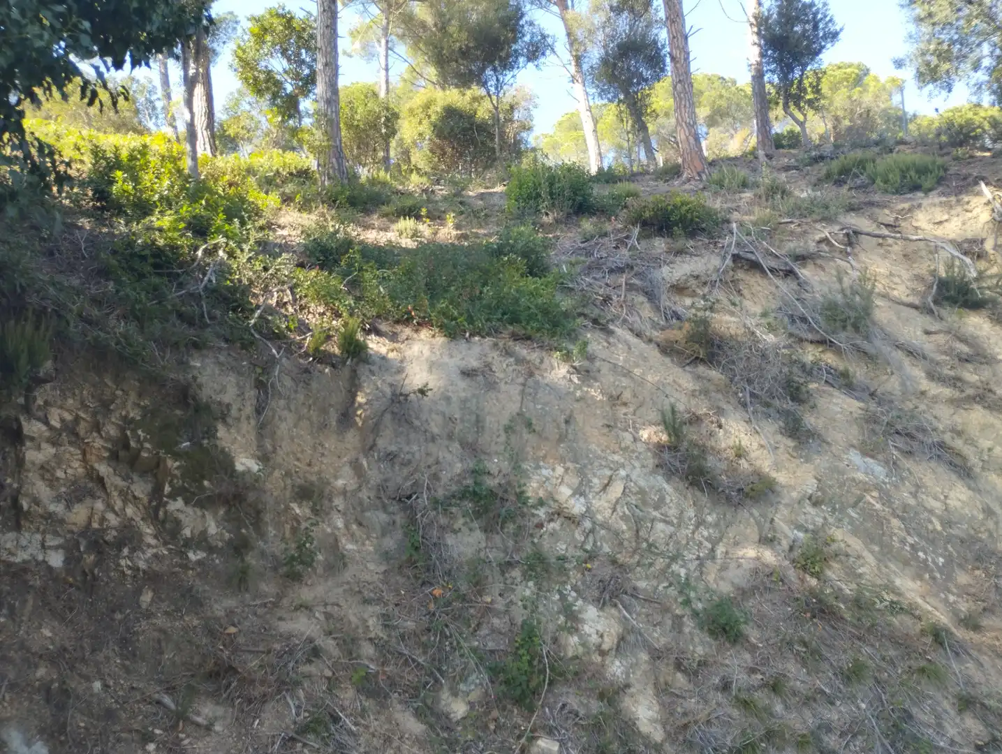 Wohnbaugrundstück zum Verkauf in Carrer de la Pedra 33, imagen 7