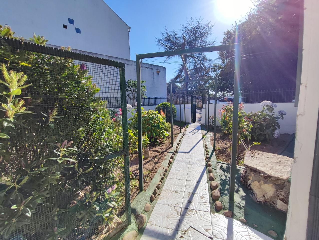 Garden of House or chalet for sale in Castro Caldelas  with Private garden and Terrace