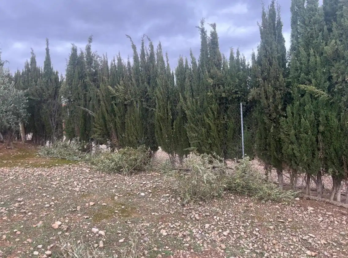 Casa en venta en Picual