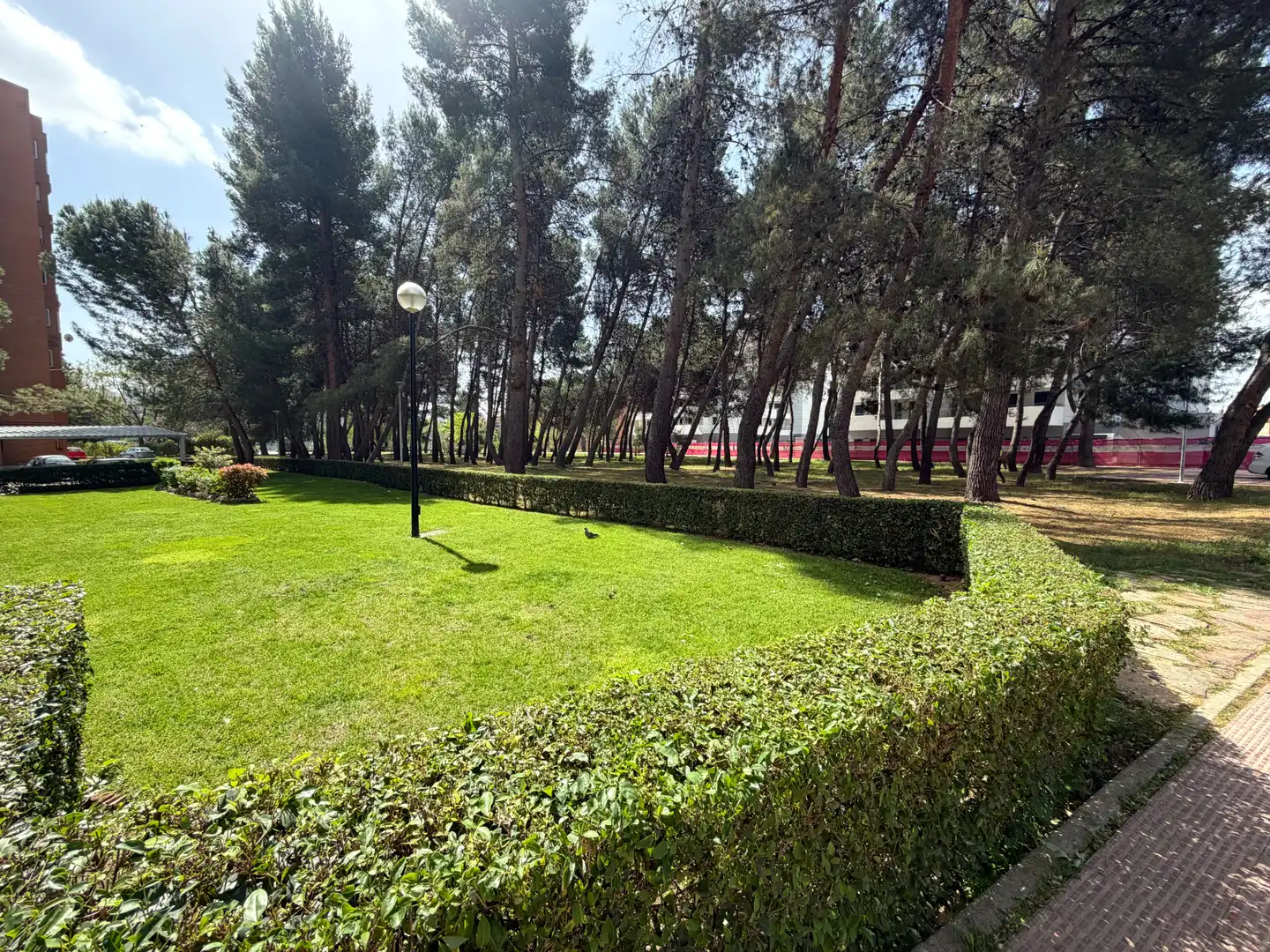 Jardí de Dúplex en venda en Alcalá de Henares amb Aire condicionat i Calefacció
