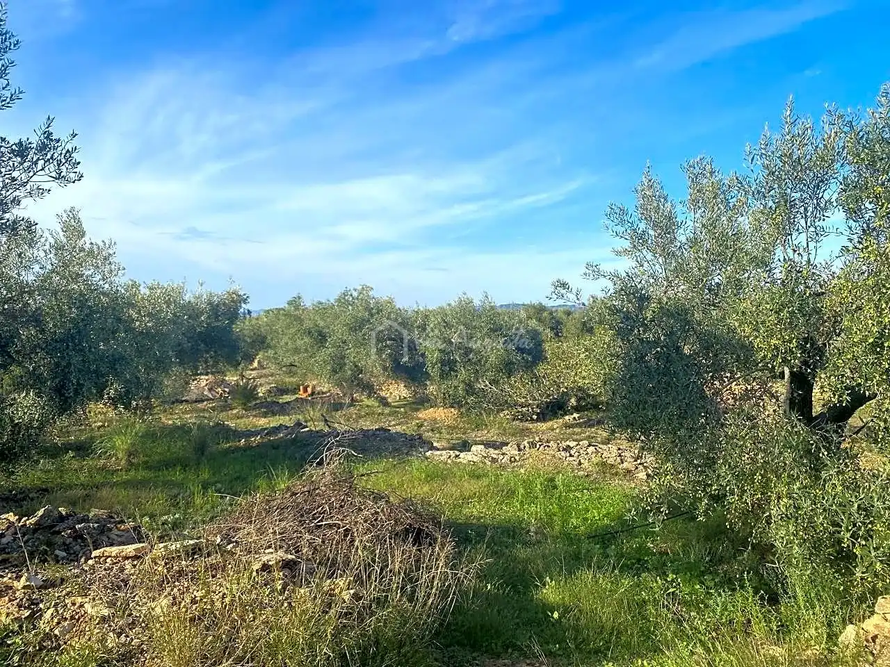 Terrain rustique à vendre à Burgà, imagen 13