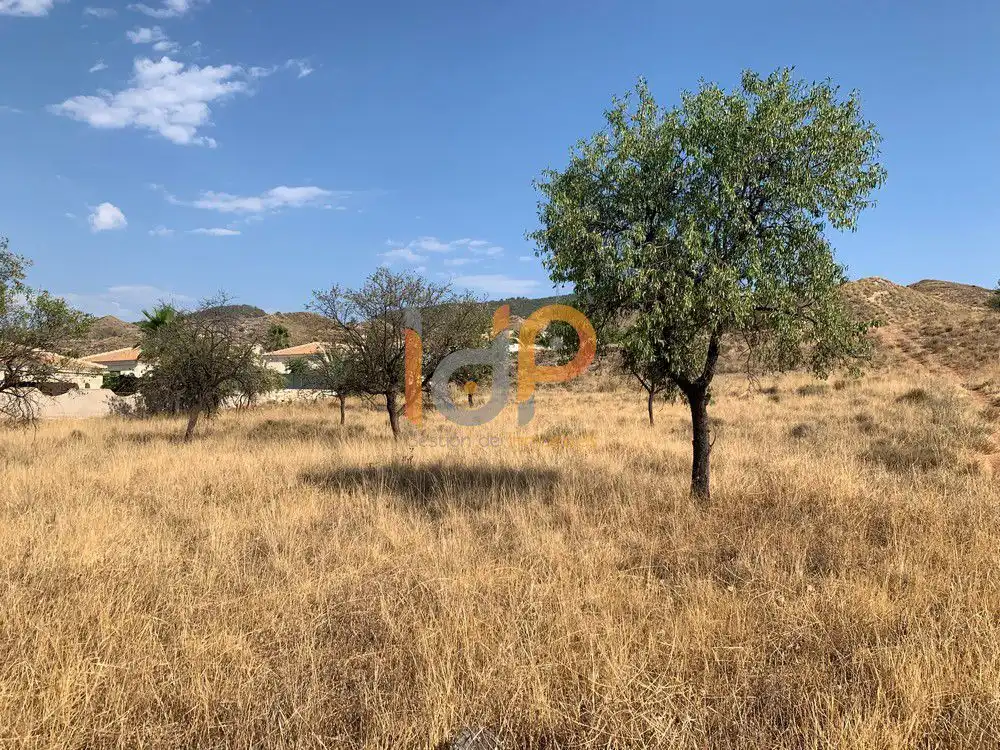 Terreny rústic en venda a Zurgena, imagen 3