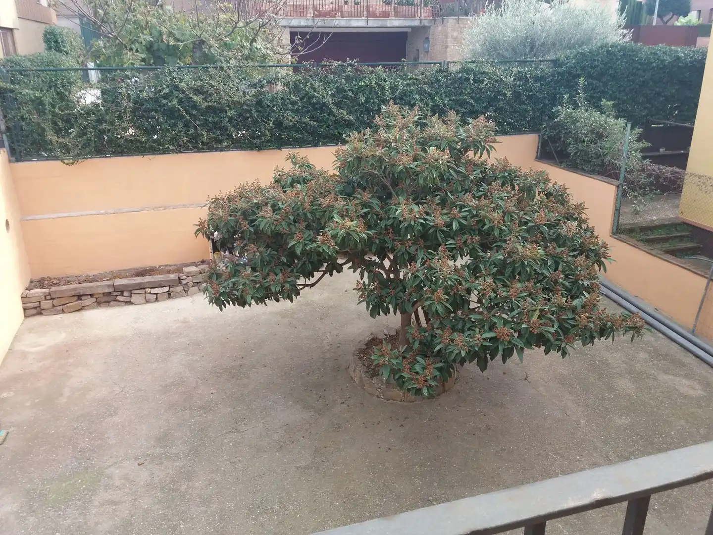 Jardín de Casa o chalet en venta en Mont-ras con Calefacción, Jardín privado y Terraza