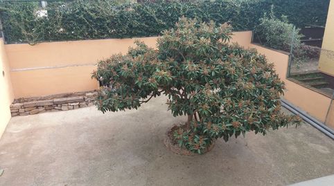 Foto 3 de Casa o chalet en venta en Mont-ras, Girona