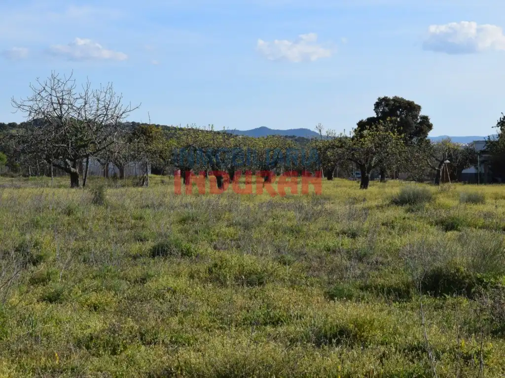 Terreni e lotti in vendita a Saucedilla, imagen 2