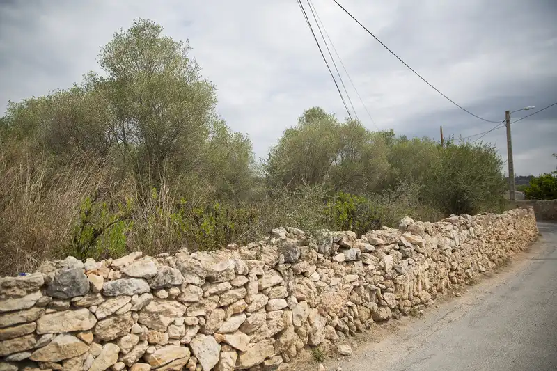 Residential zum Verkauf in Camí del Llorito, 114- Polígono 5, Urbanitzacions de Llevant