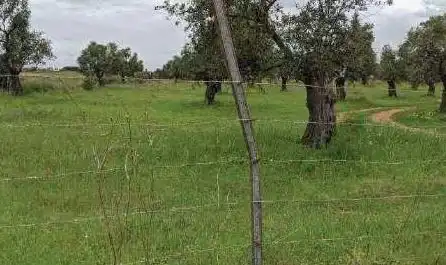 Terreni e lotti in vendita a Pr El Urraco, imagen 8