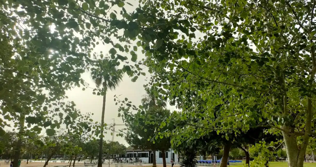 Appartamento con ascensore in vendita a Calle Tesoro de la Aliseda, imagen 9