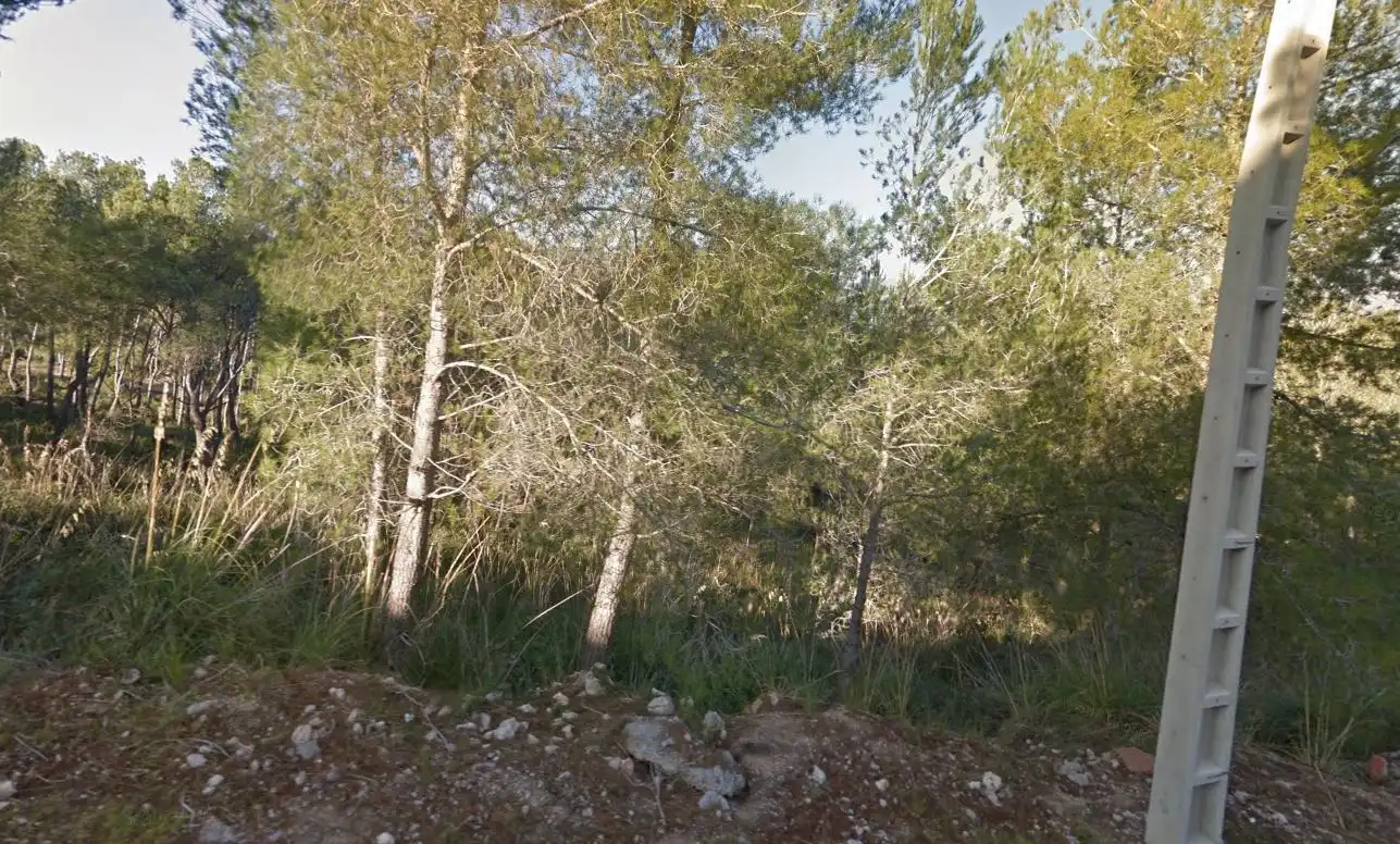 Terrain rustique à vendre à CL MIRADOR Nº 28-30-PAR., imagen 3