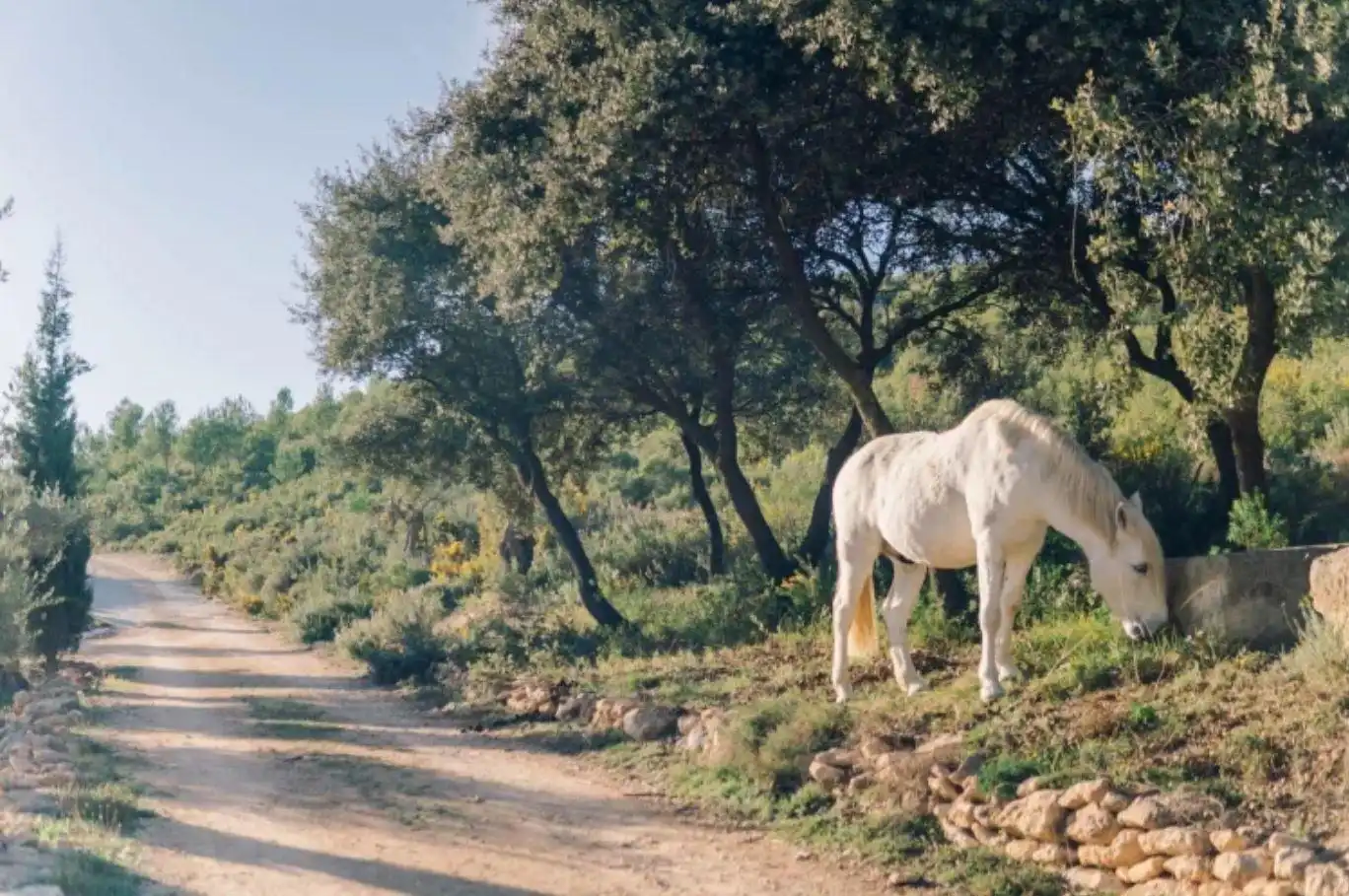 Vista exterior de Finca rústica en venta en Enguera con Calefacción, Jardín privado y Terraza