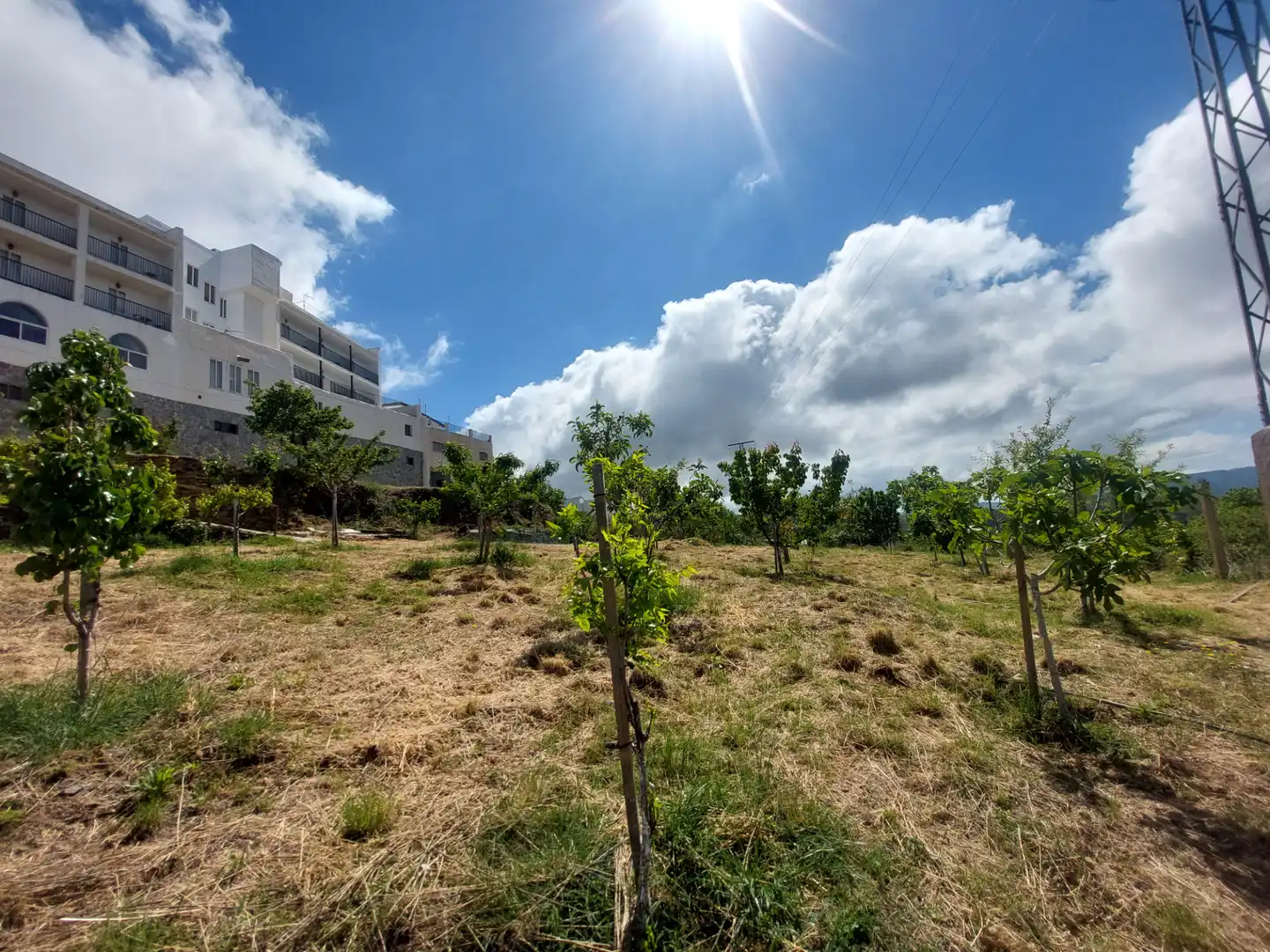 Land for sale in Pórtugos