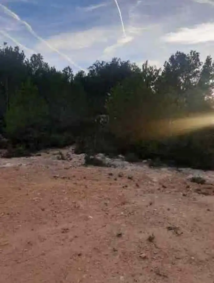 Finca rústica en venda en Godelleta amb Jardí privat, Terrassa i Traster