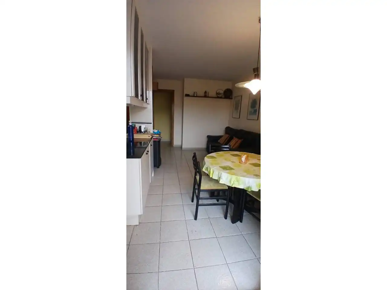 Houses for sale in Avenida Abad Marcet, Zona Esportiva
